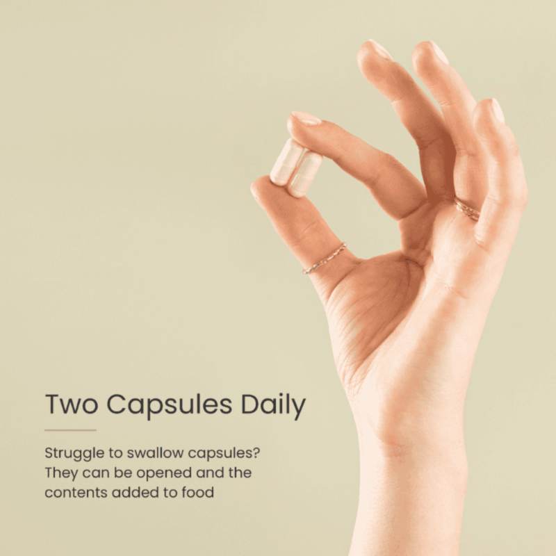 Proceive® Pregnancy Trimester 2 - toidulisand rasedatele