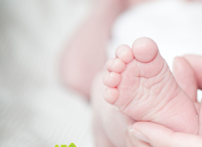 Toidulisandid, mis on aidanud luua perekondi I Kidsmed